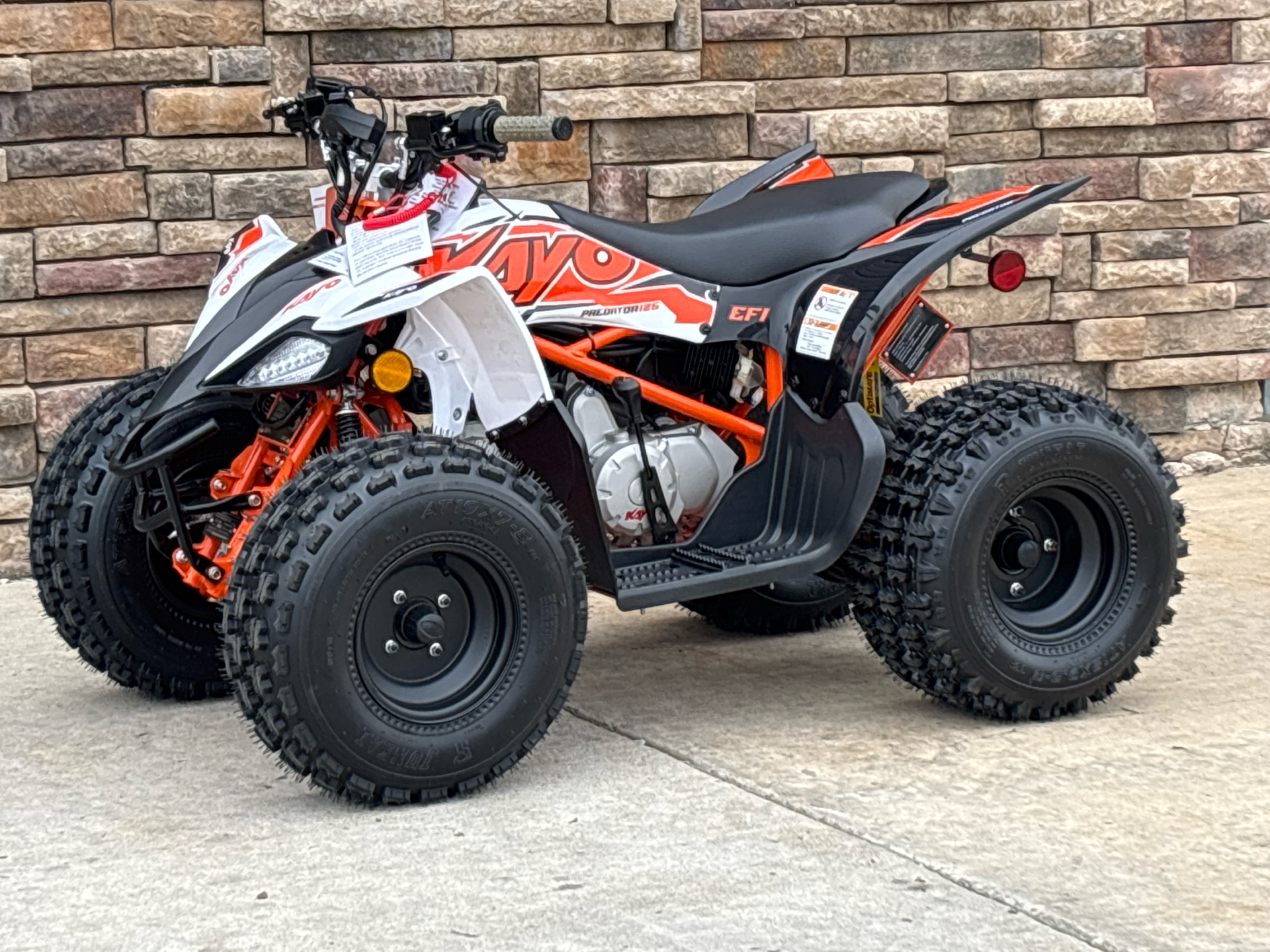 2025 Kayo Predator 125 in Columbia, Missouri - Photo 13
