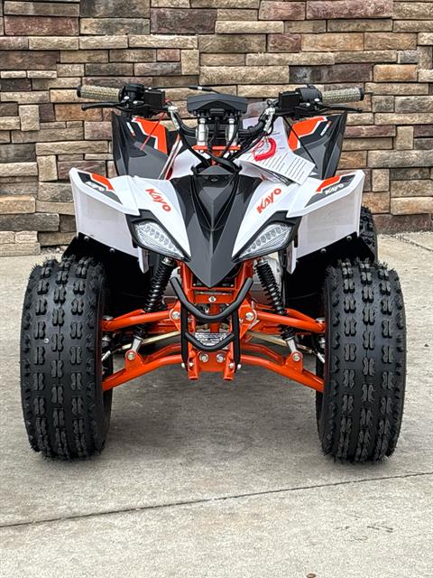 2025 Kayo Predator 125 in Columbia, Missouri - Photo 11