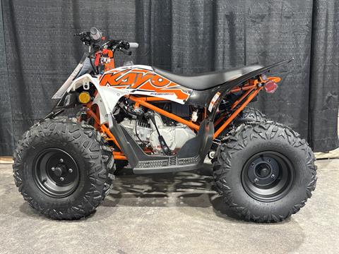 2025 Kayo Predator 110 in Columbia, Missouri - Photo 1