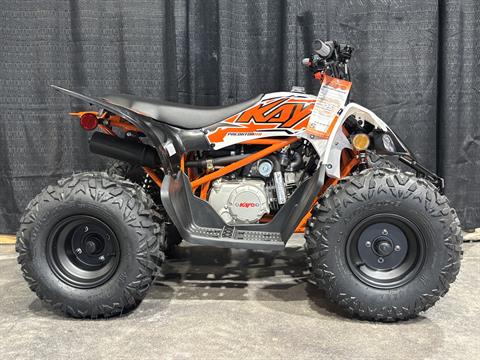 2025 Kayo Predator 110 in Columbia, Missouri - Photo 13