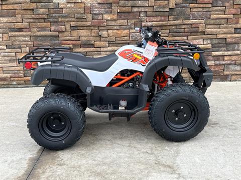 2025 Kayo Bull 150 EFI in Columbia, Missouri - Photo 8