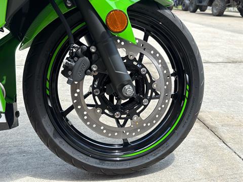 2025 Kawasaki Ninja 500 KRT Edition in Columbia, Missouri - Photo 12
