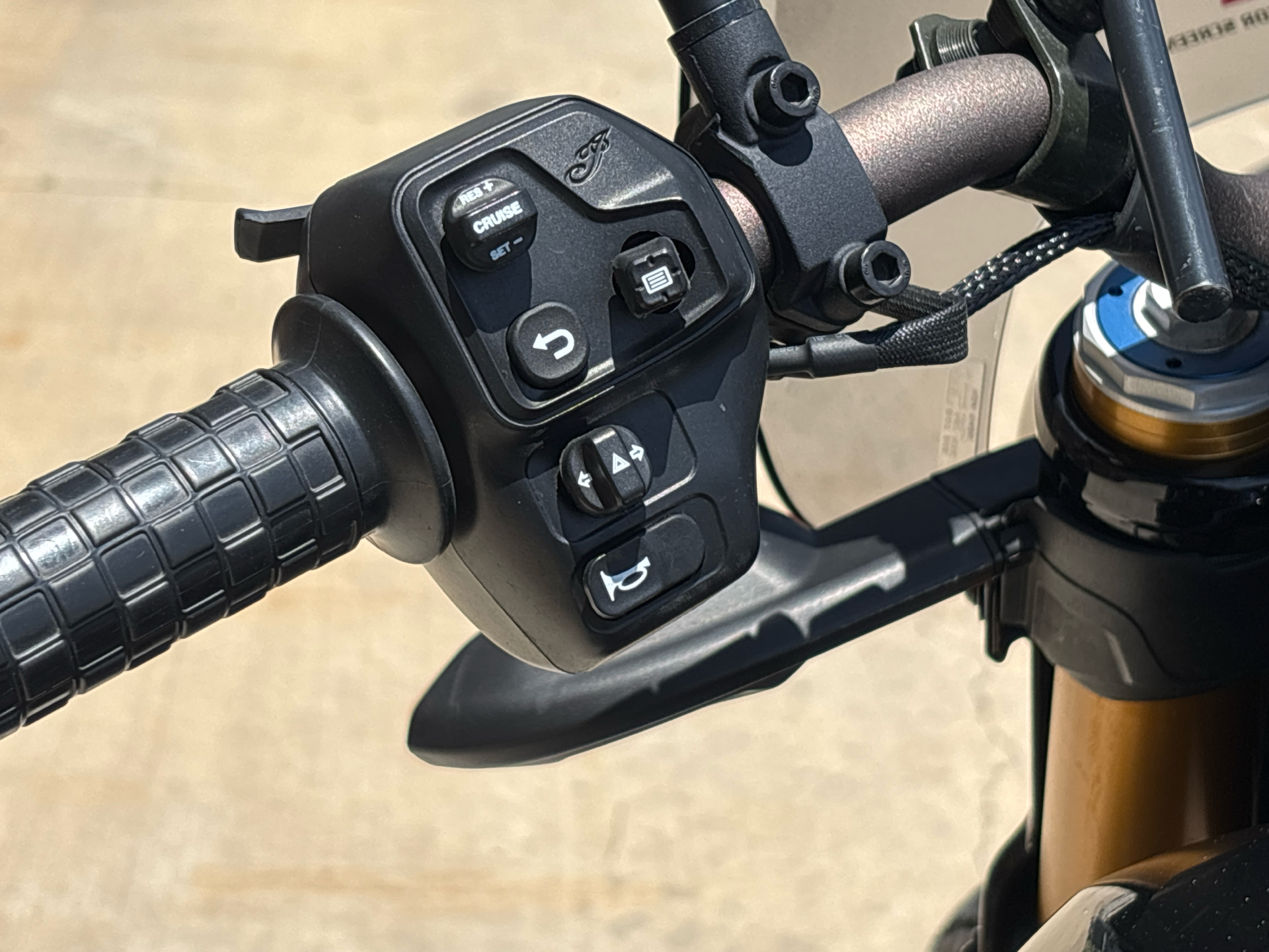 2019 Indian Motorcycle FTR™ 1200 S in Columbia, Missouri - Photo 6
