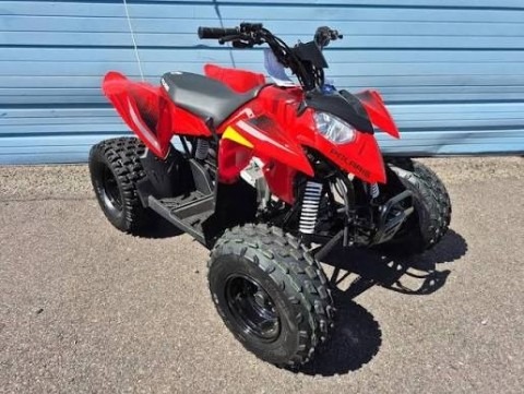 2026 Outlaw 110 EFI