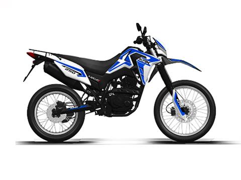 New Overstock Kawaski, Segway & Honda Power Equipment NY | Queens