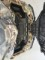 2022 Polaris Sportsman XP 1000 Hunt Edition in Two Harbors, Minnesota - Photo 13