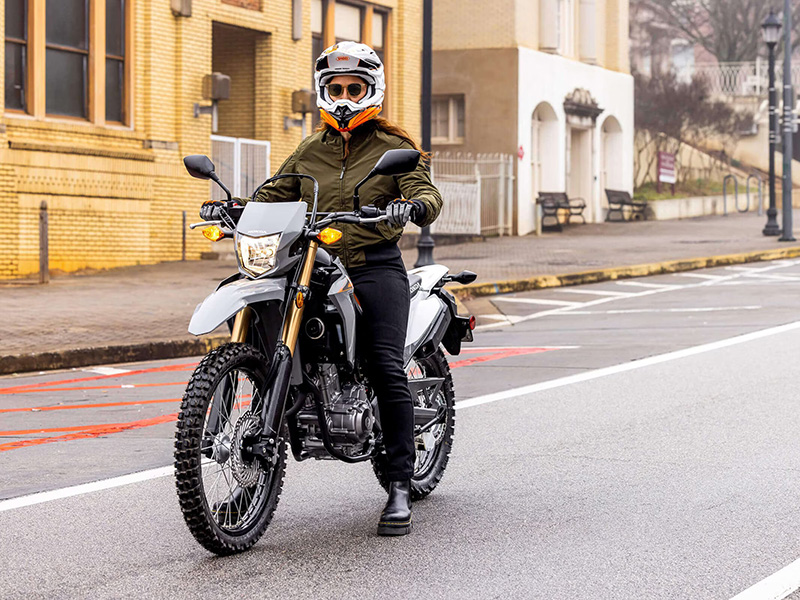 2024 Honda CRF300LS in Dubuque, Iowa - Photo 9