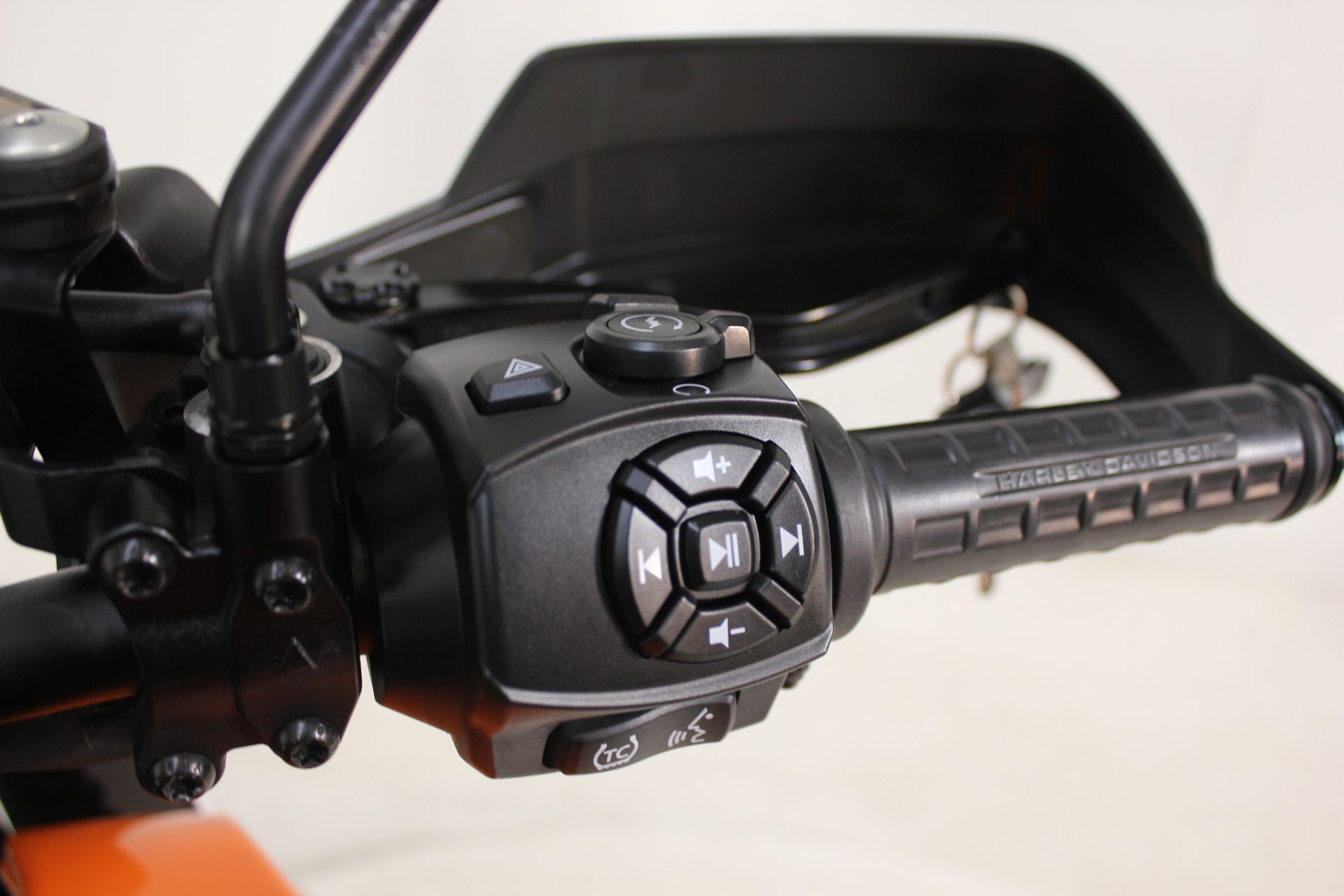 2021 Harley-Davidson Pan America Special 10