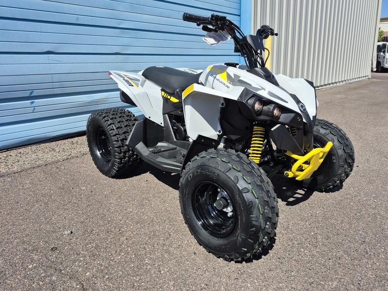 2026 Renegade 110 EFI