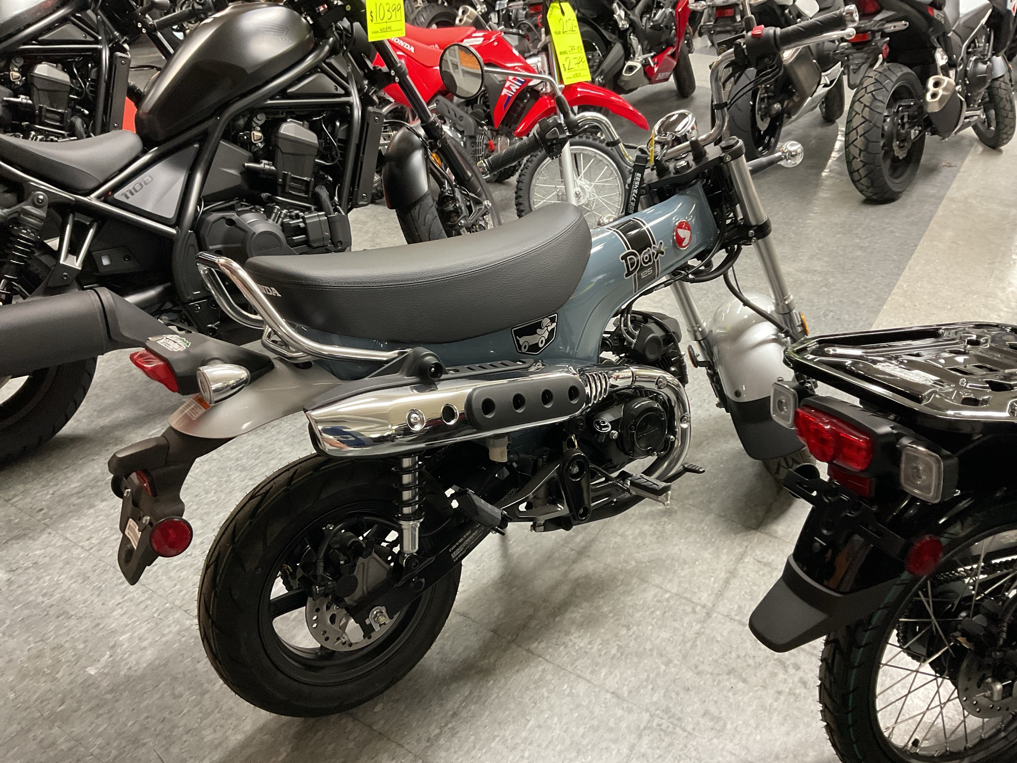 2025 Honda Dax 125 3