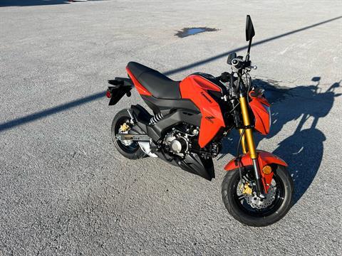 2025 Kawasaki Z125 Pro, Rutland VT | New Motorcycles for Sale