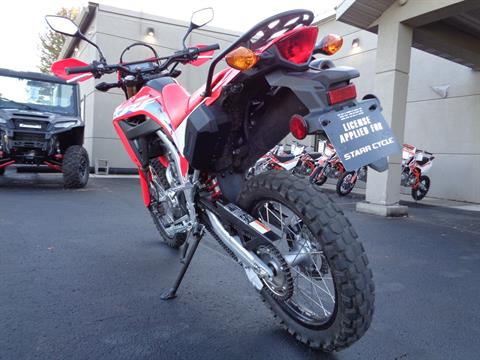 2024 Honda CRF300L ABS in North Mankato, Minnesota - Photo 7