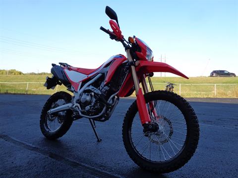 2024 Honda CRF300L ABS in North Mankato, Minnesota - Photo 13