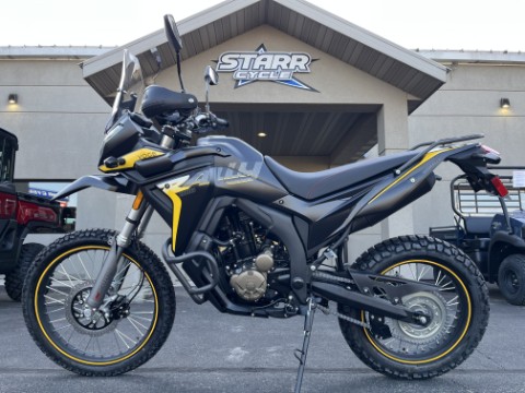 2025 VOGE 300GY RALLY ADV — photo 1 of 28