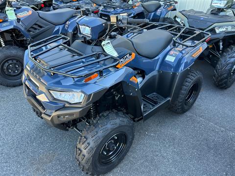 2026 Kawasaki Brute Force 300