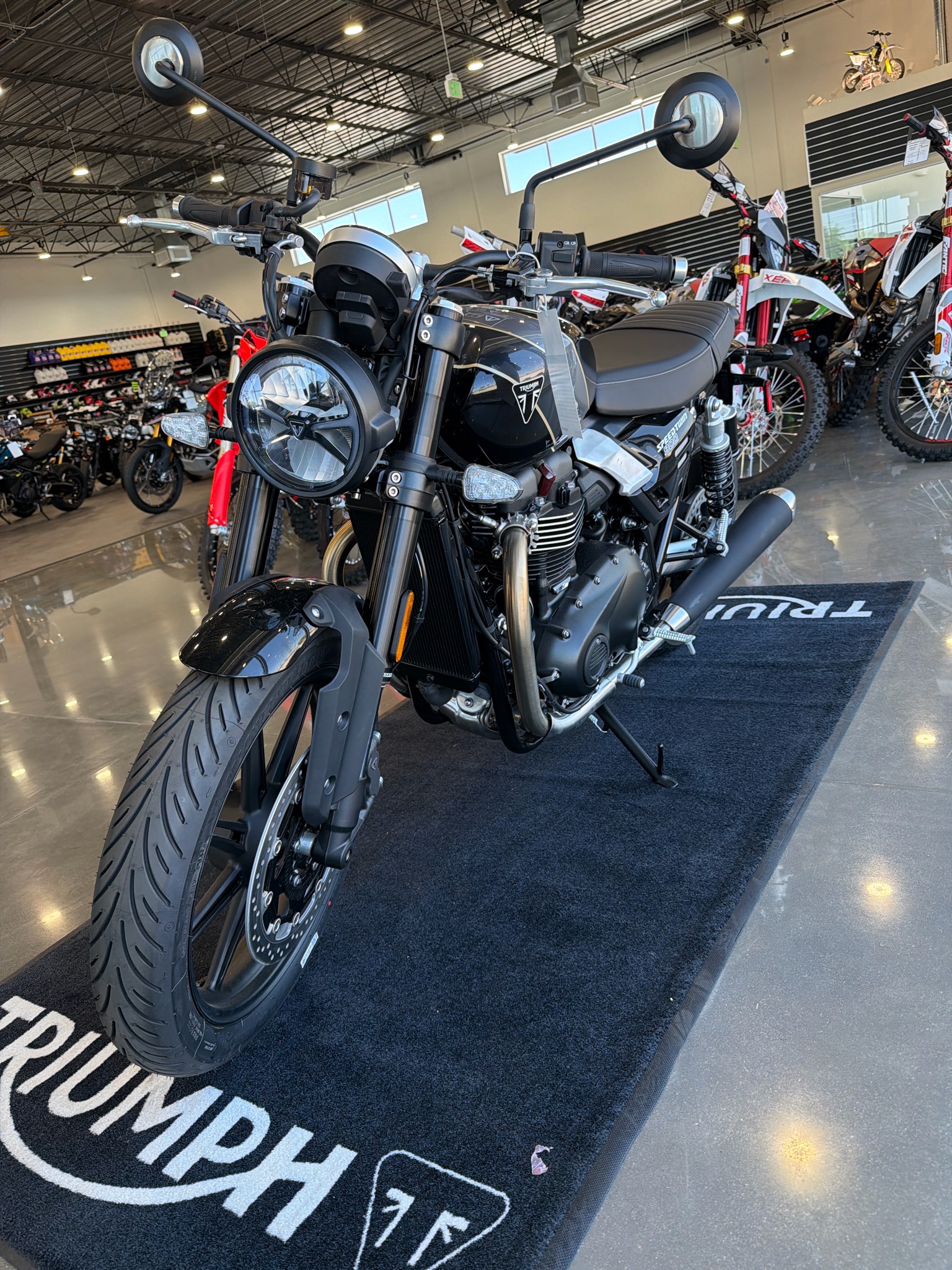 2026 Triumph Speed Twin 900 4