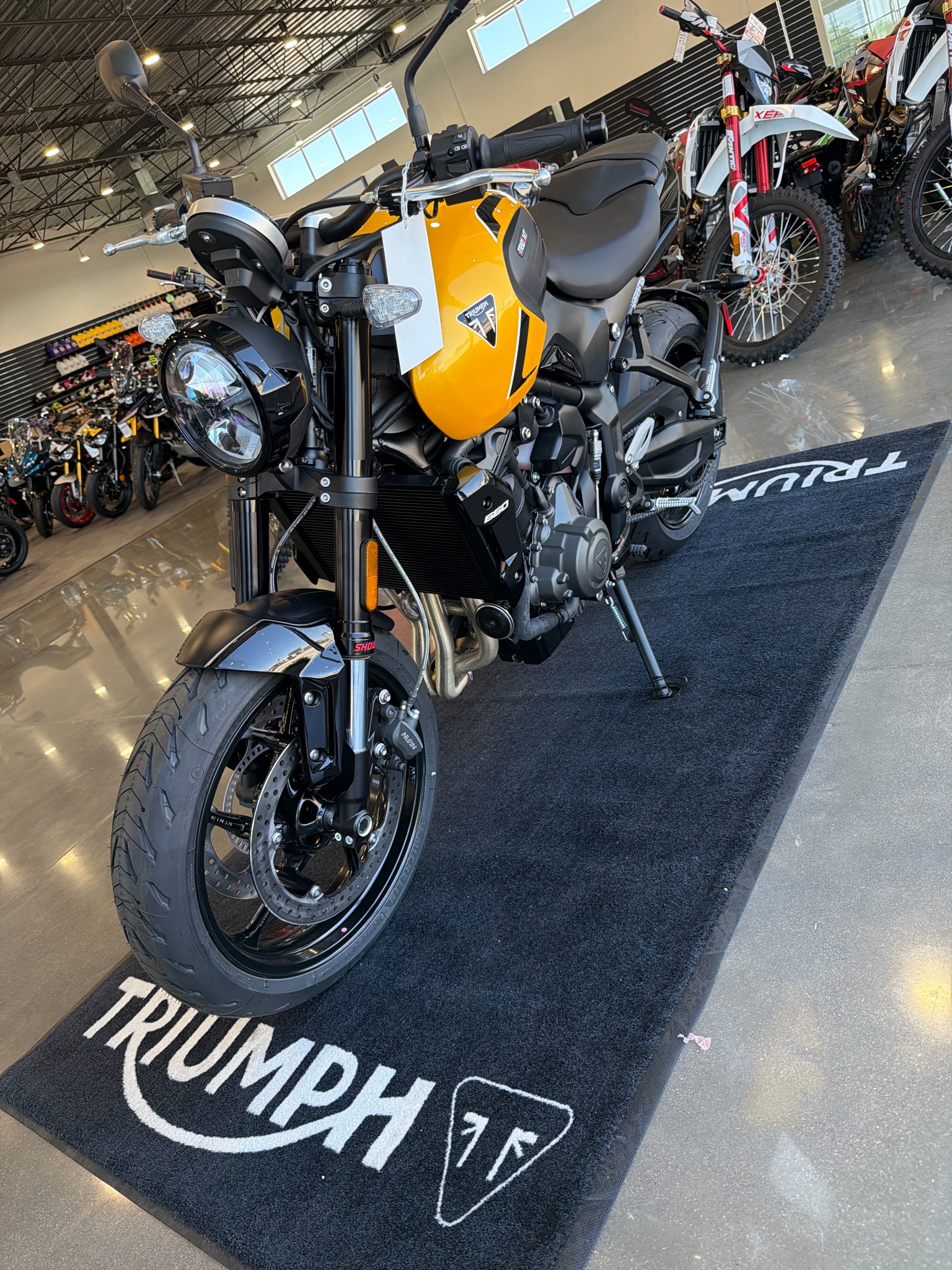 2026 Triumph Trident 660 5