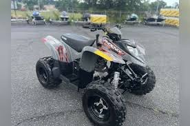 2027 Polaris Phoenix 200 1