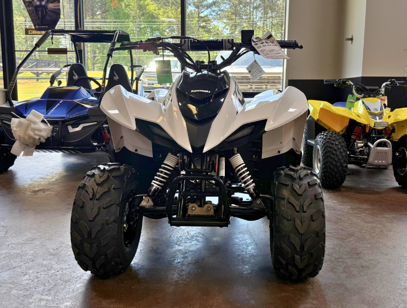 2026 Kawasaki KFX®50 3
