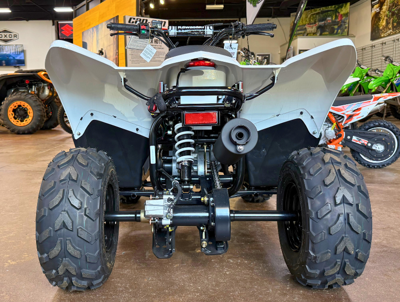 2026 Kawasaki KFX®50 5