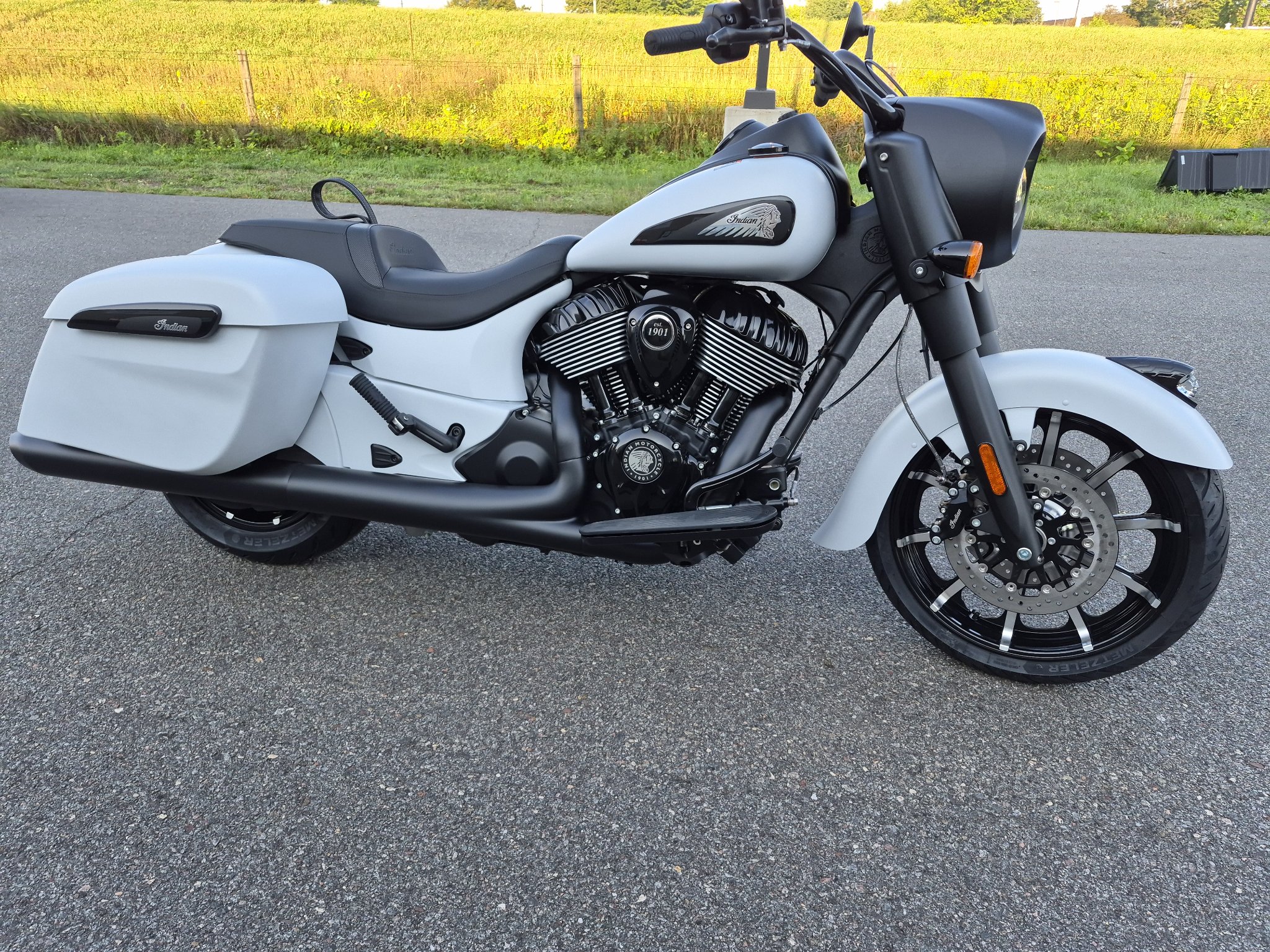 2026  Springfield® Dark Horse® 10