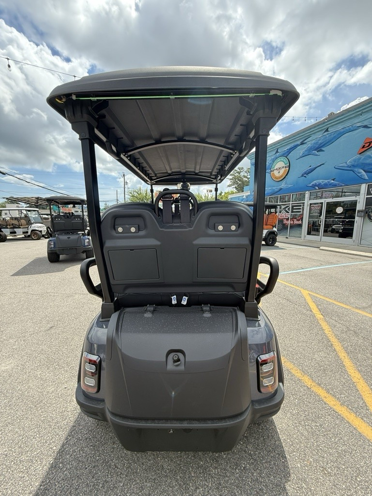 2025 EPIC CARTS E40-FX in Virginia Beach, Virginia - Photo 4