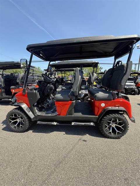 2025 Denago EV Rover XL in Virginia Beach, Virginia - Photo 4