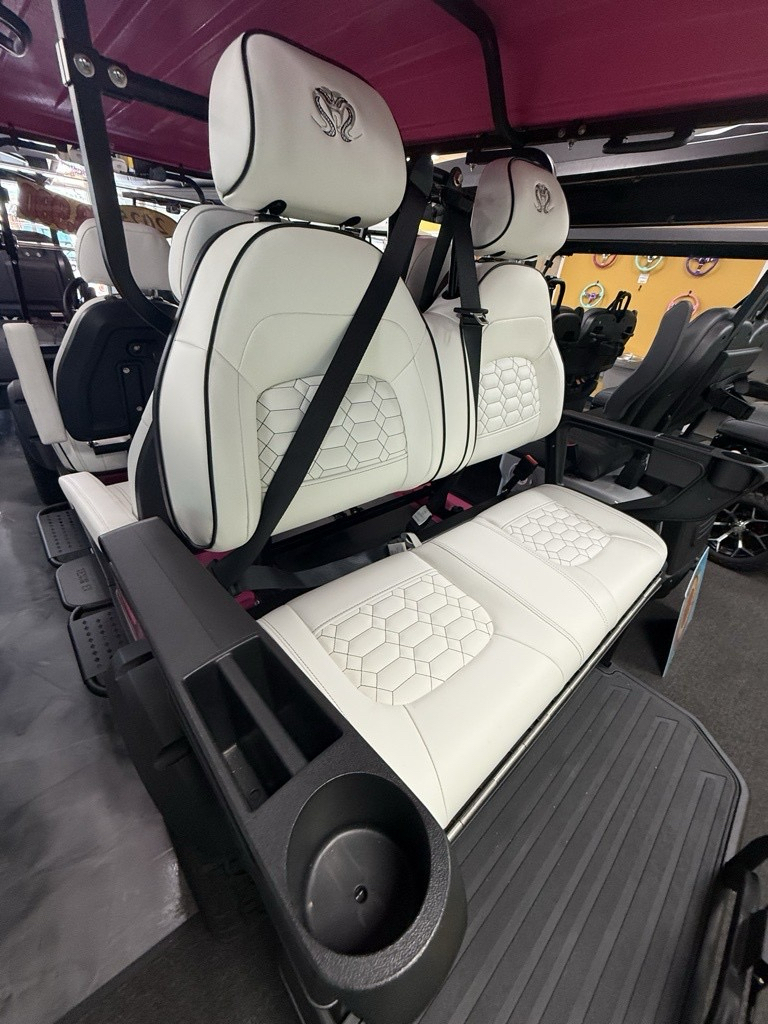 2025 Venom EV 6 Seater Strike Lifted in Virginia Beach, Virginia - Photo 10