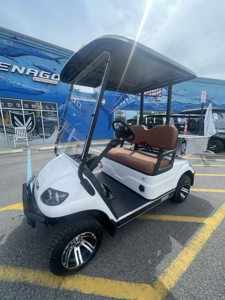2025 ICON Electric Vehicles C20S in Virginia Beach, Virginia - Photo 1
