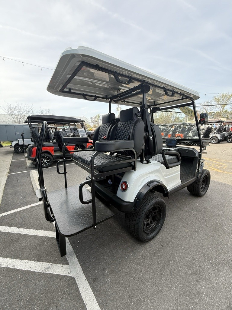 2025 EPIC CARTS E40-L in Virginia Beach, Virginia - Photo 4