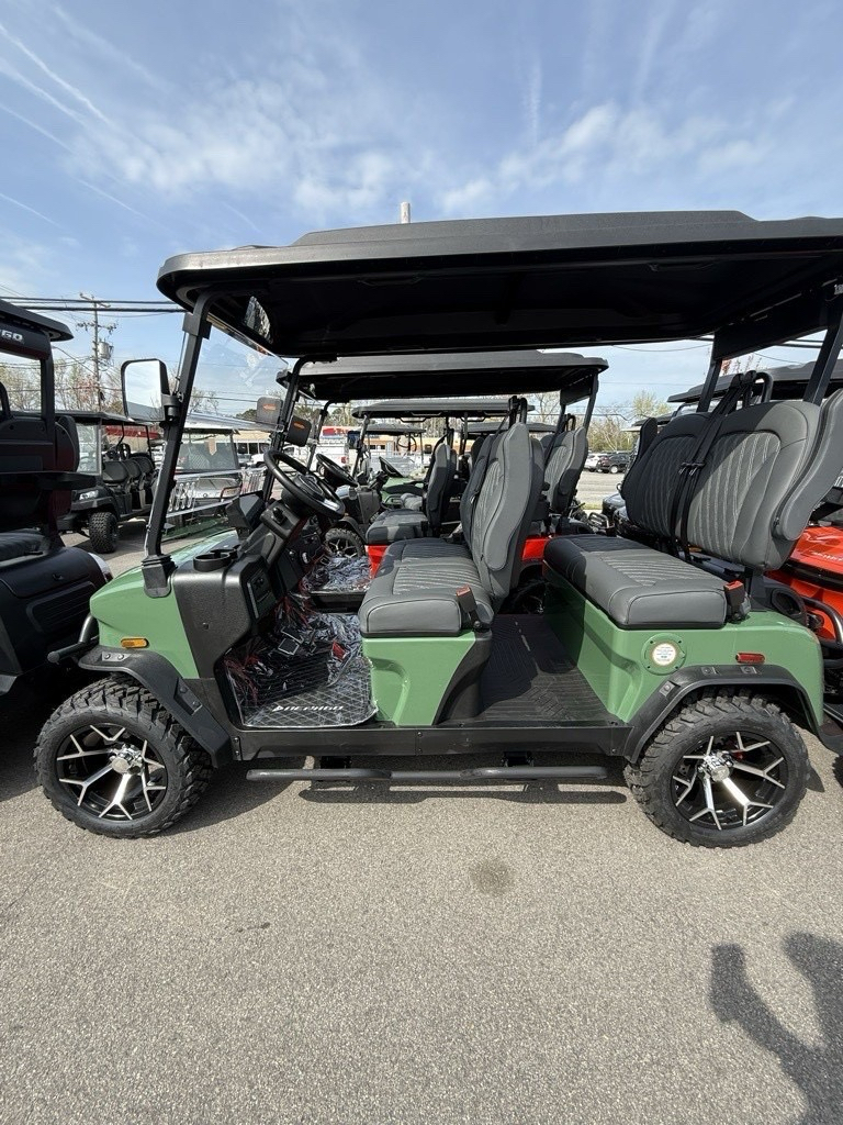 2025 Denago EV Rover XL in Virginia Beach, Virginia - Photo 2