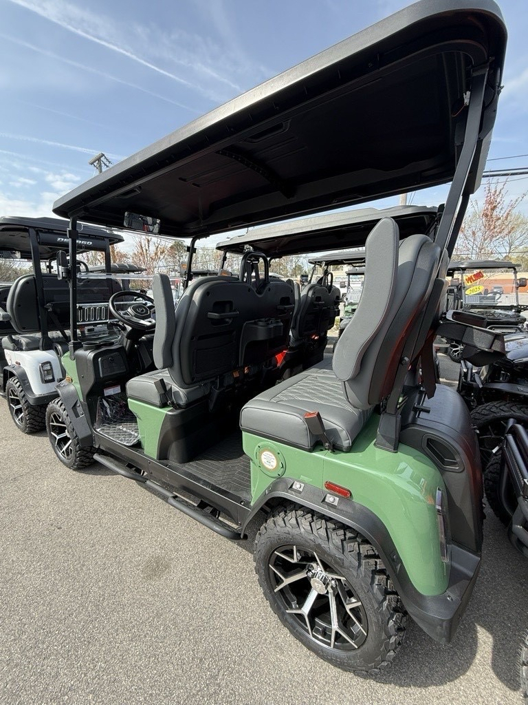 2025 Denago EV Rover XL in Virginia Beach, Virginia - Photo 4