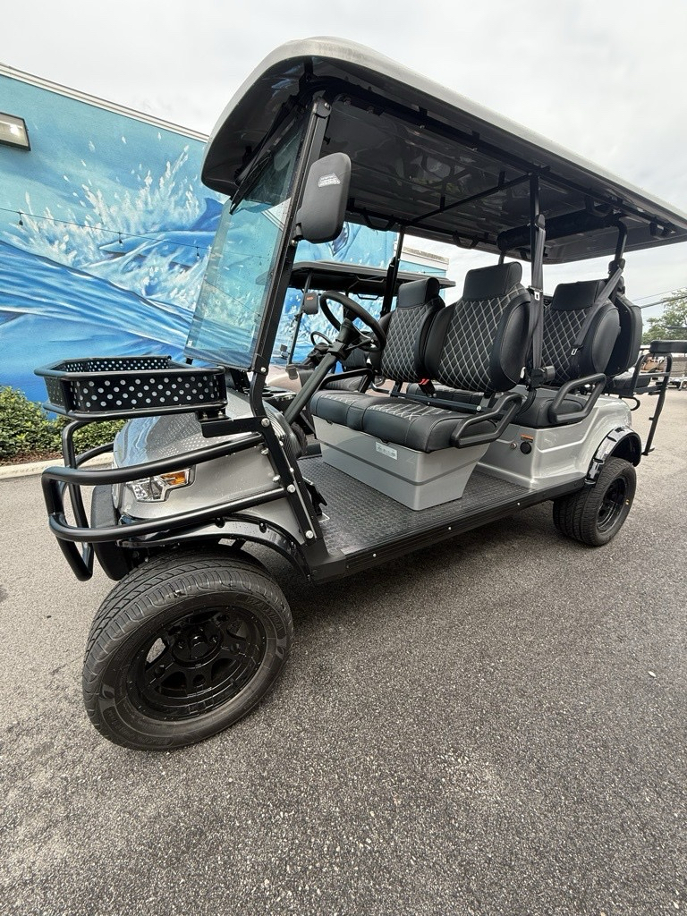 2025 EPIC CARTS E60-L in Virginia Beach, Virginia - Photo 1