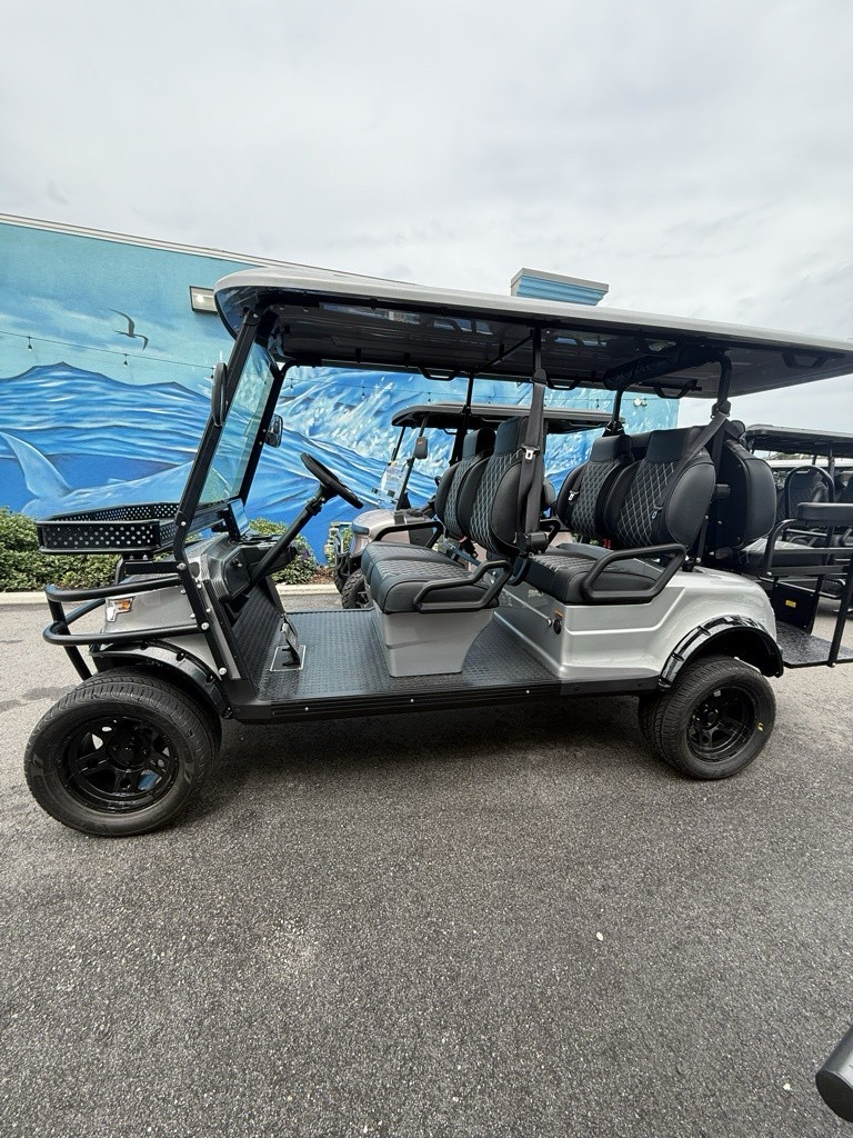 2025 EPIC CARTS E60-L in Virginia Beach, Virginia - Photo 3
