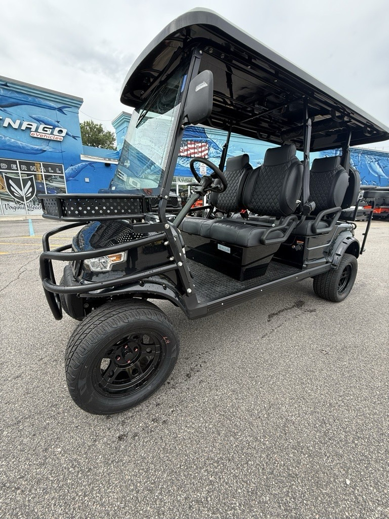 2025 EPIC CARTS E60-L in Virginia Beach, Virginia - Photo 1