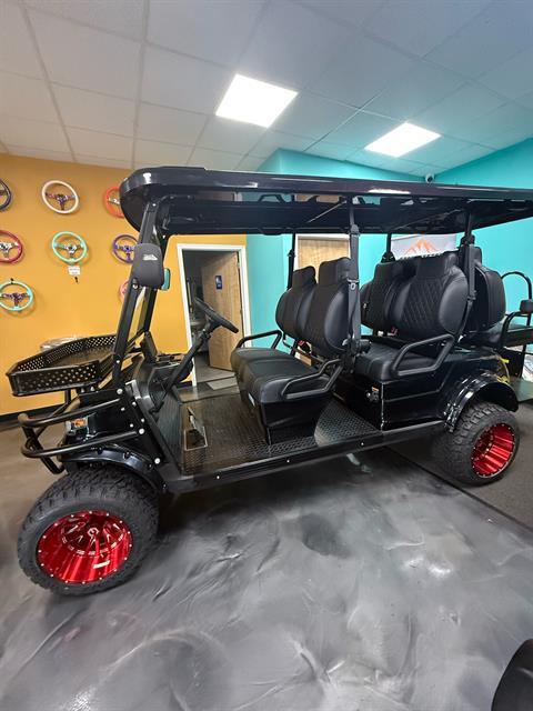 2025 EPIC CARTS E60-L in Virginia Beach, Virginia - Photo 13