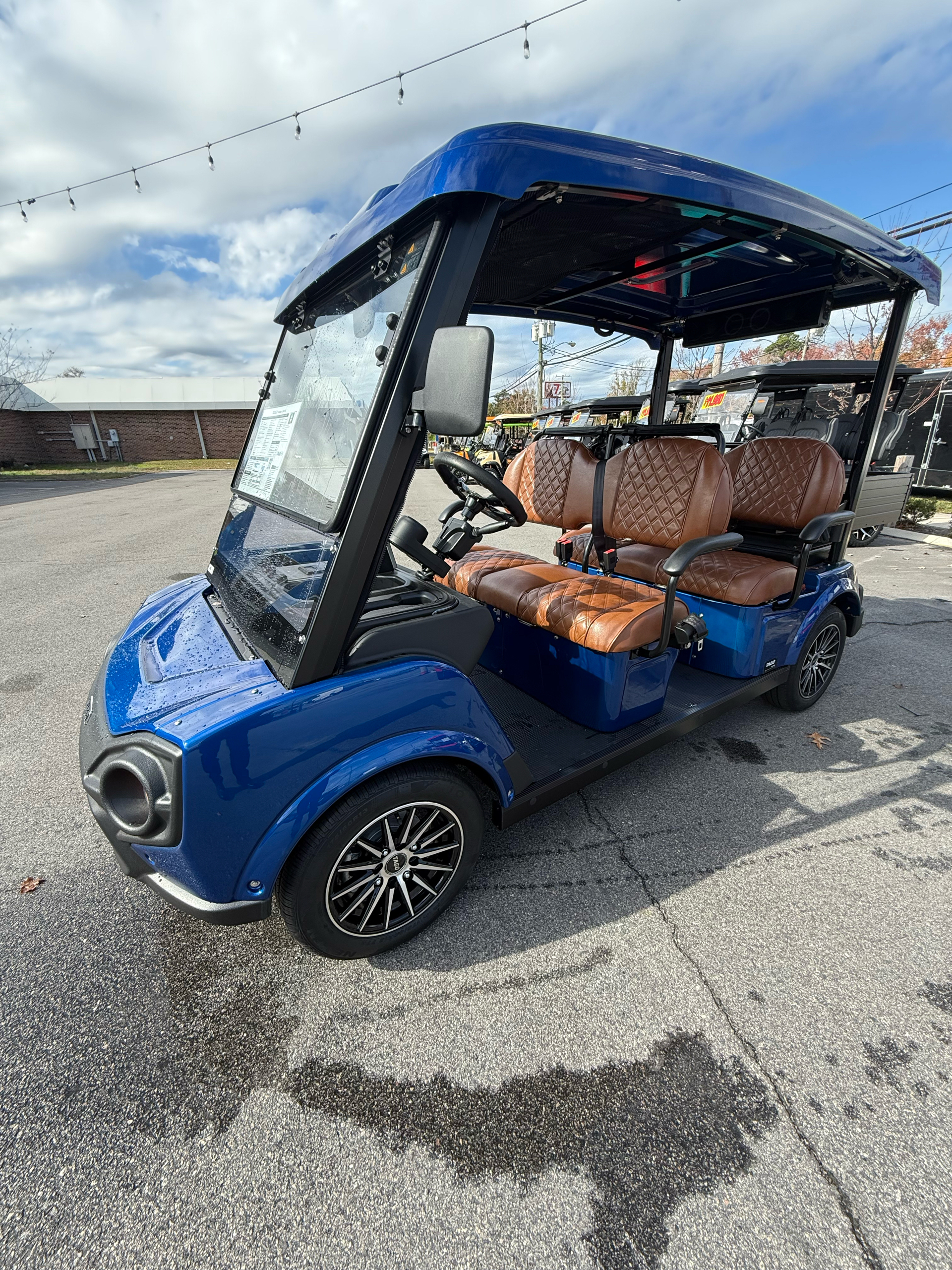 2025 Tago Palmetto photo 6