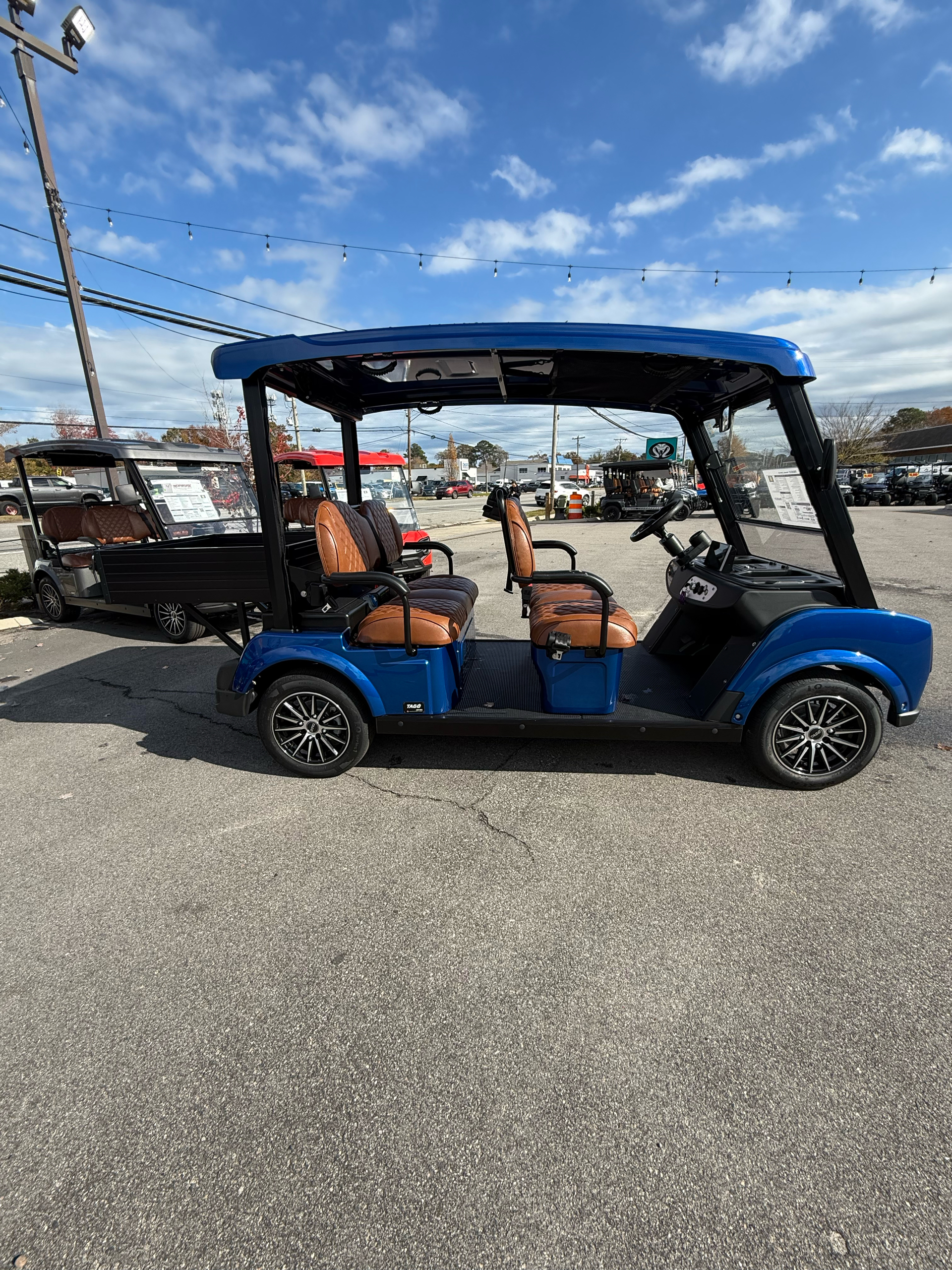 2025 Tago Palmetto photo 9