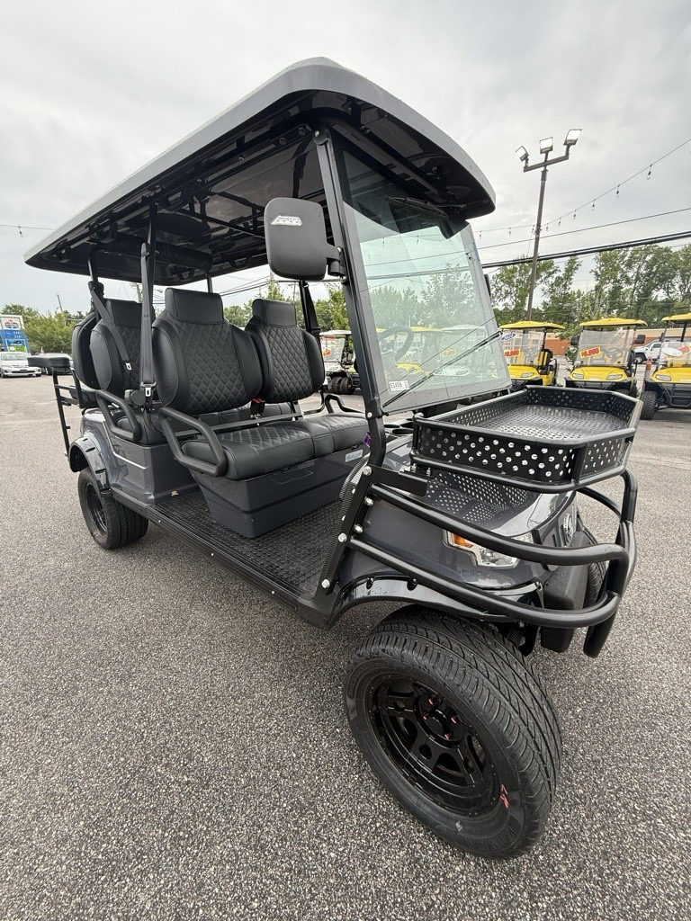 2025 EPIC CARTS E60-L in Virginia Beach, Virginia - Photo 1