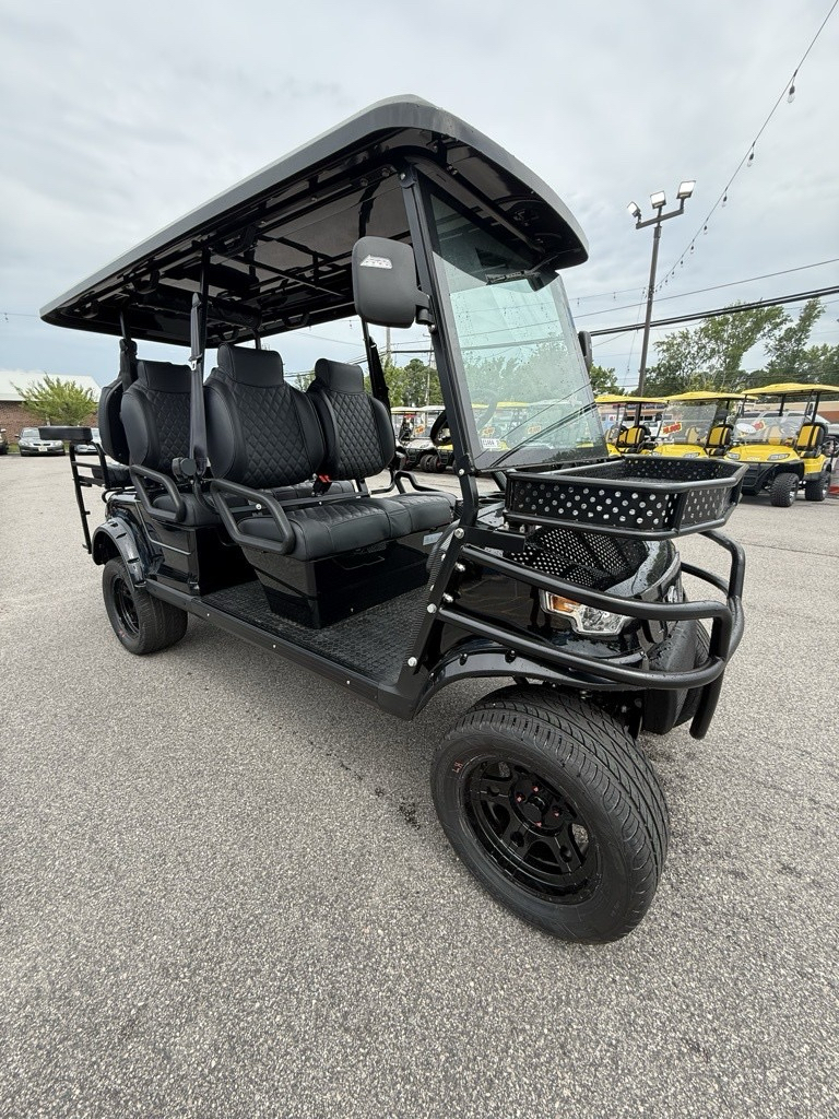 2025 EPIC CARTS E60-L in Virginia Beach, Virginia - Photo 4