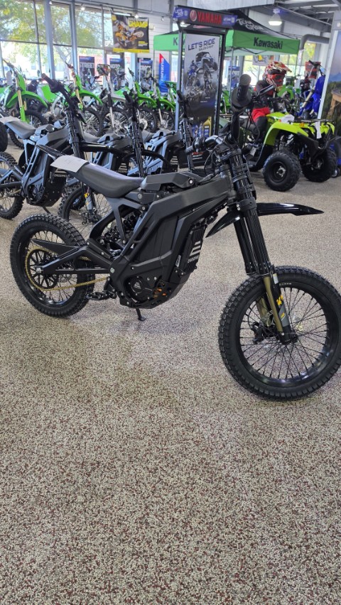 2026 E-Ride PRO PRO S 16" — photo 1 of 1