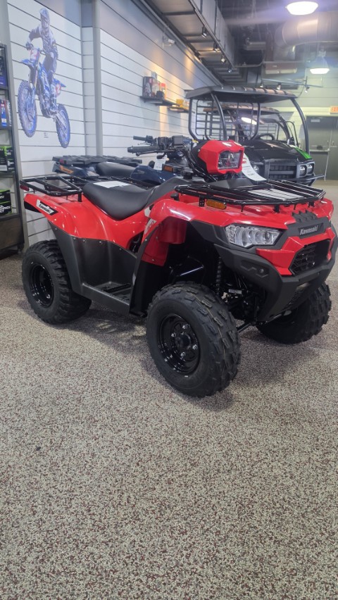 2026 Kawasaki Brute Force 300