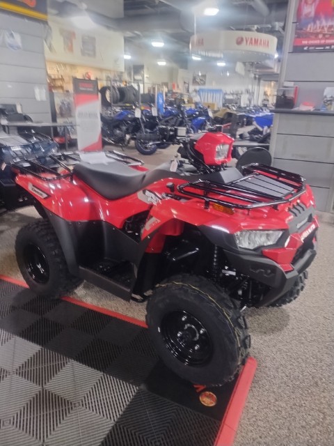 2026 Kawasaki Brute Force 300