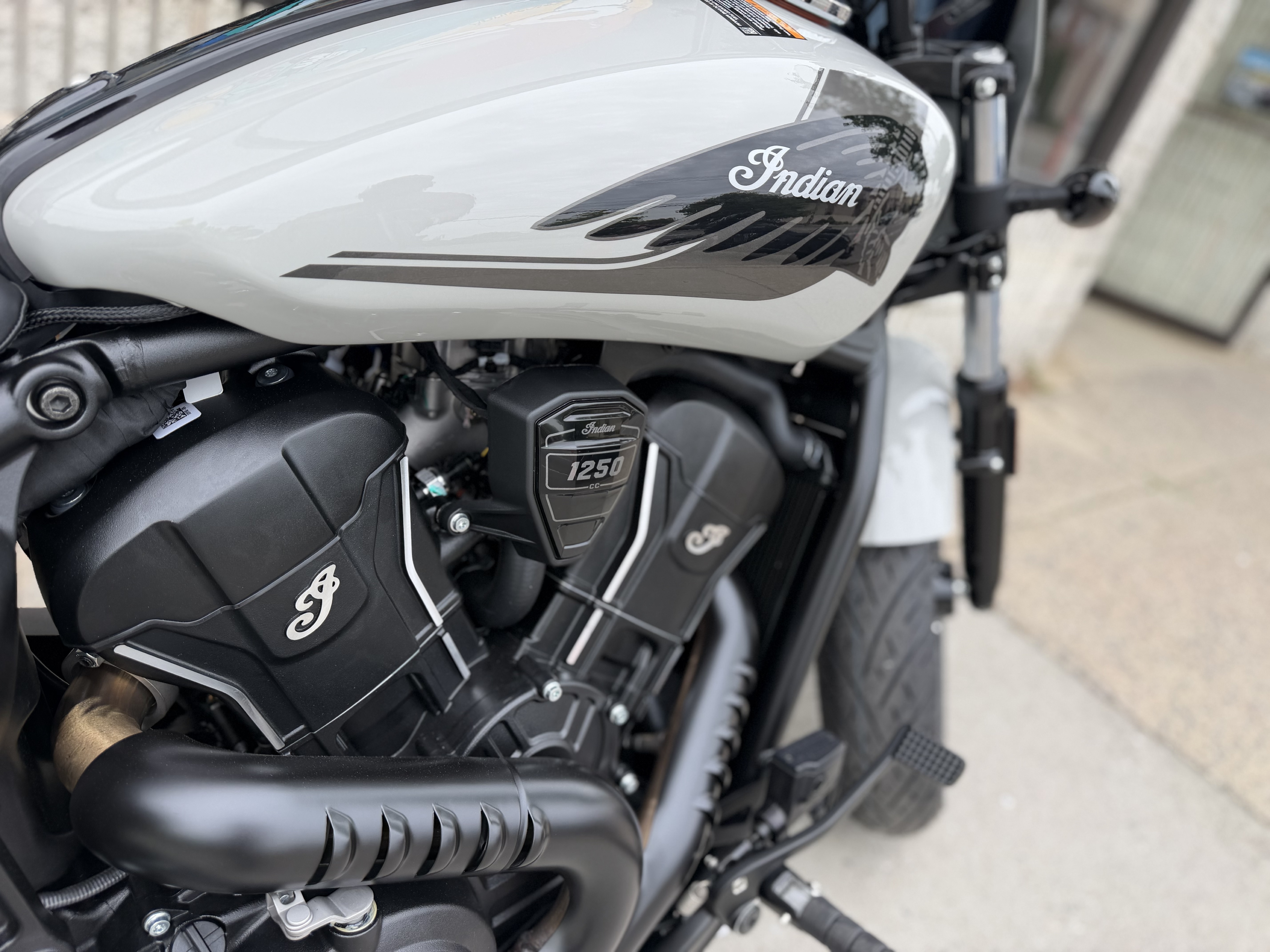 2026  Sport Scout RT 6