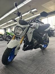 2026 Kawasaki Z125 Pro 4