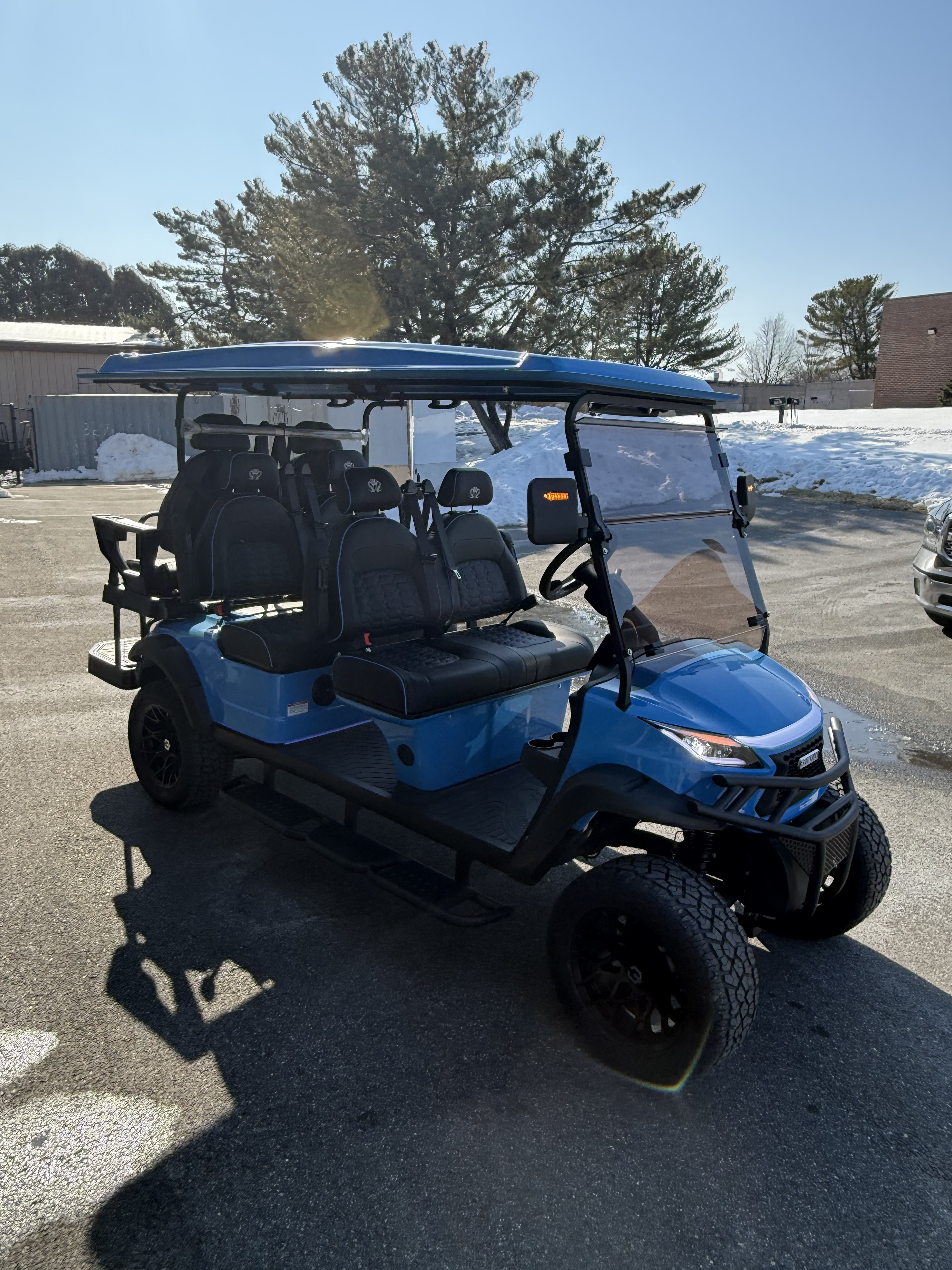 2026 Venom EV 6 Seater Strike in Sykesville, Maryland - Photo 5