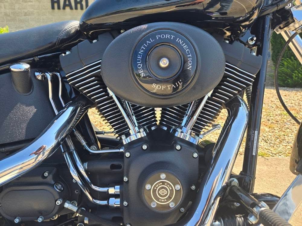 2006 Harley-Davidson Softail® Night Train® in Rock Falls, Illinois - Photo 6