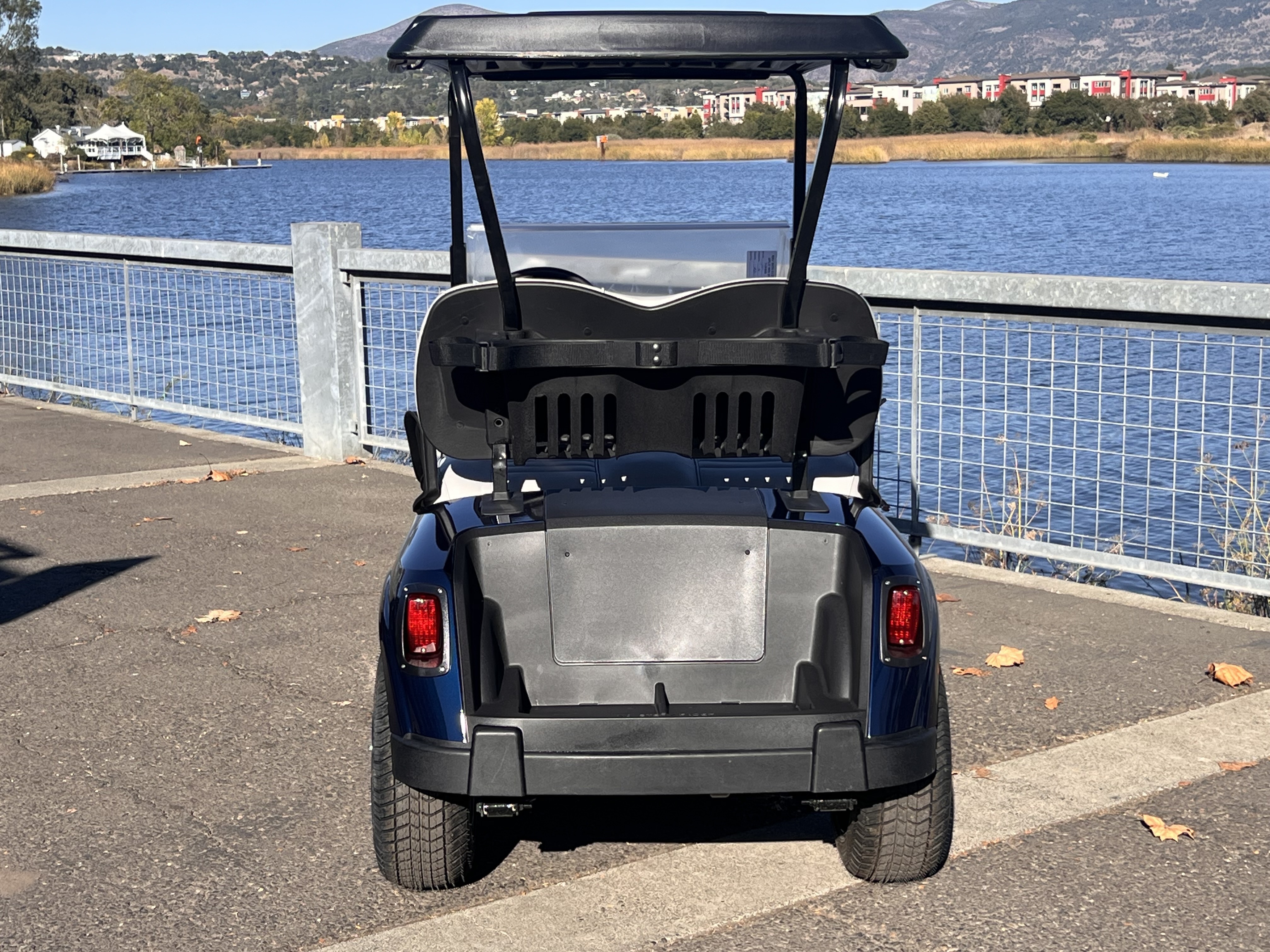 2022 EZGO Freedom photo 4