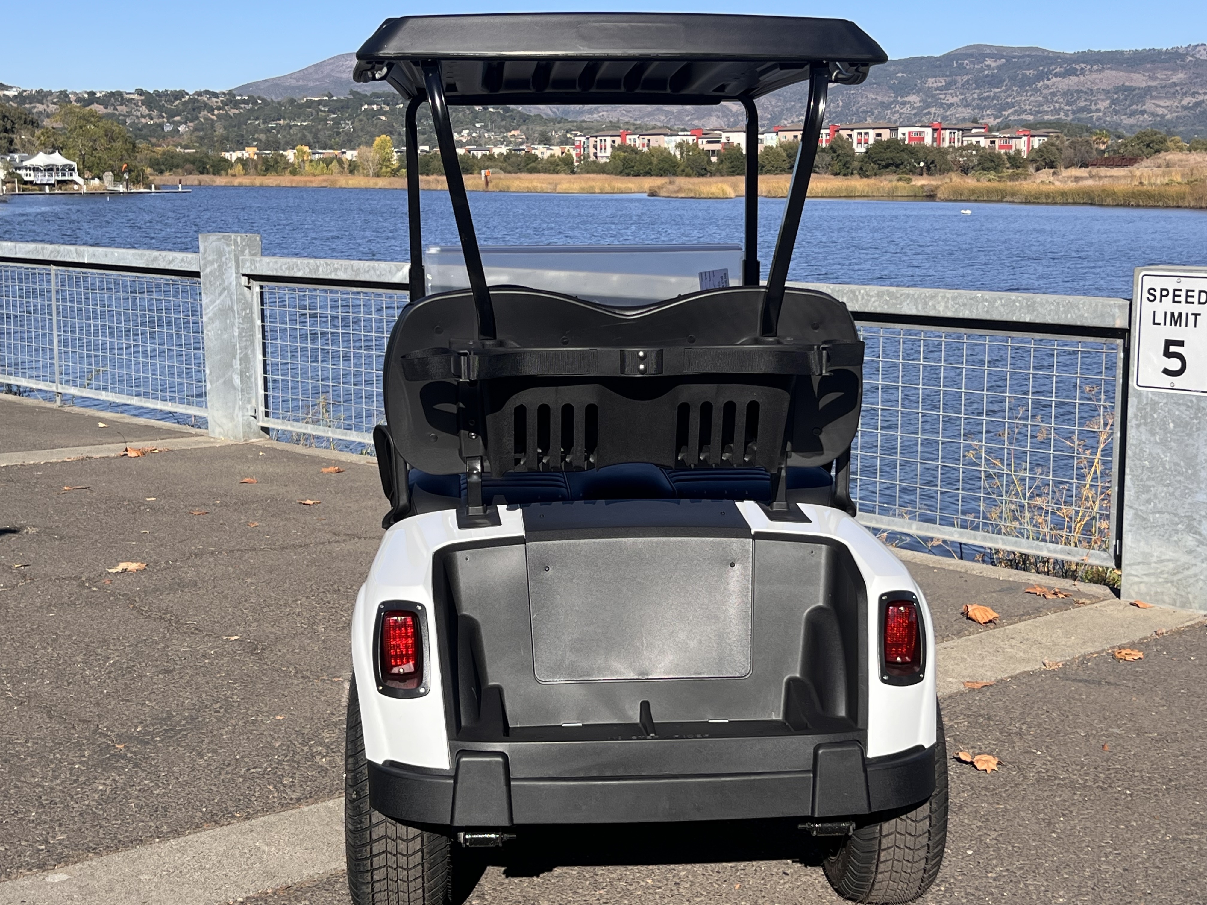 2022 EZGO Freedom photo 5