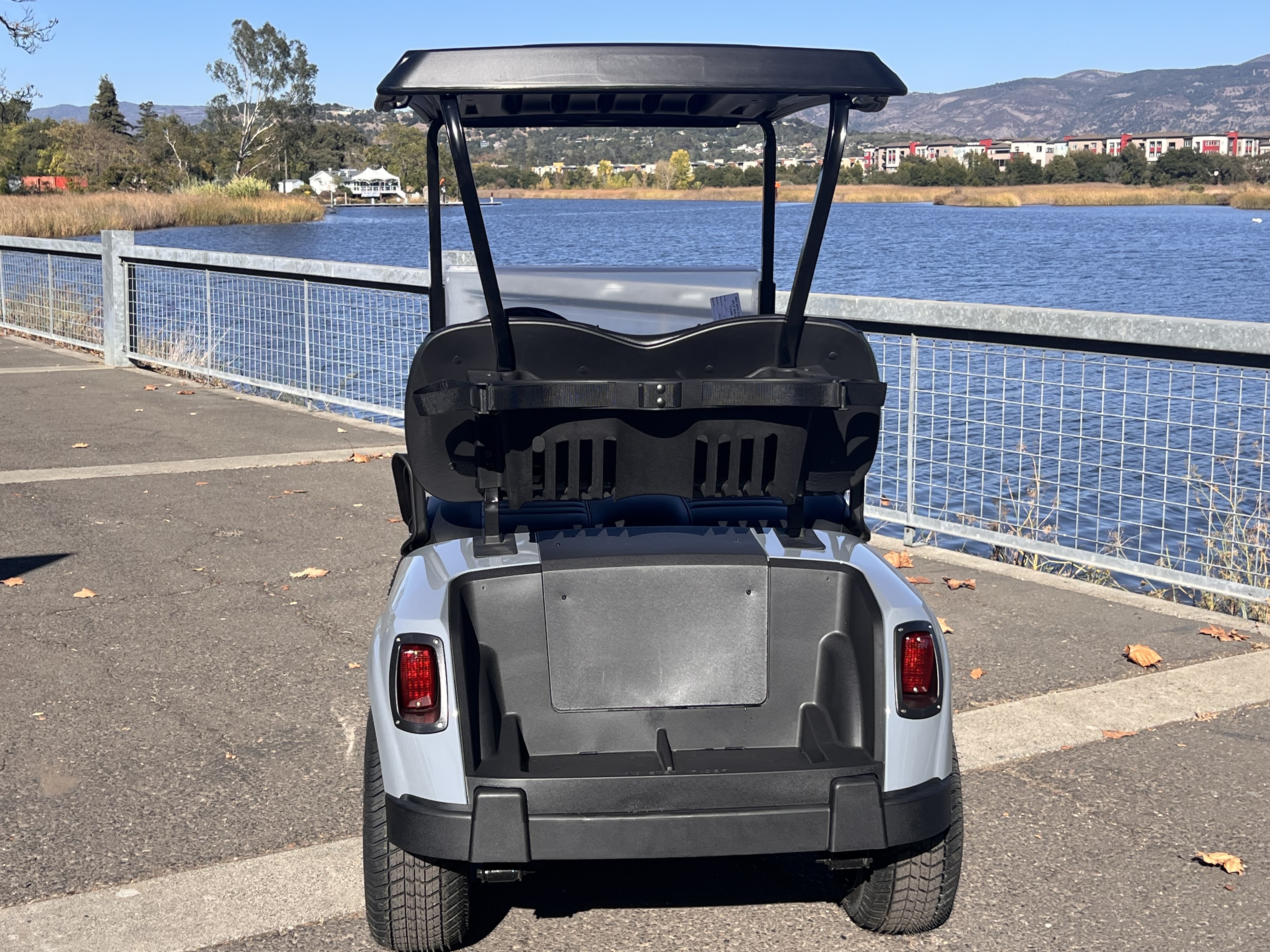 2022 EZGO Freedom photo 5